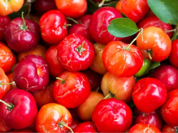 ACEROLA: I suoi Benefici 