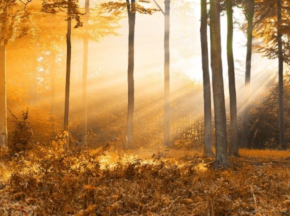 VITAMINA D IN INVERNO