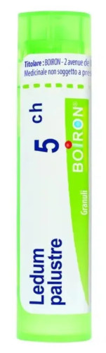BOIRON LEDUM PALUSTRE BOI*5CH 80GR 4G - maxifarmacia.it