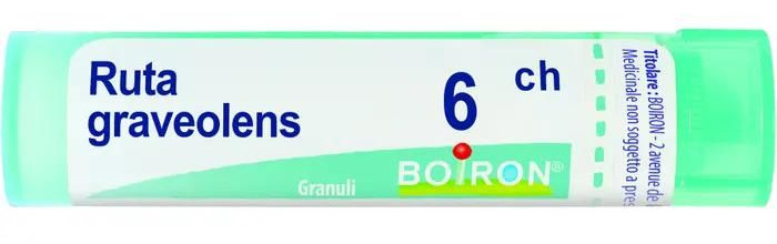 RUTA GRAV BOI*6CH 80GR 4G - maxifarmacia.it