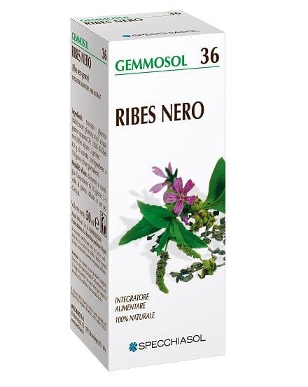 GEMMOSOL 36 RIBES NERO MACERATO GLICERICO 100 ML - maxifarmacia.it