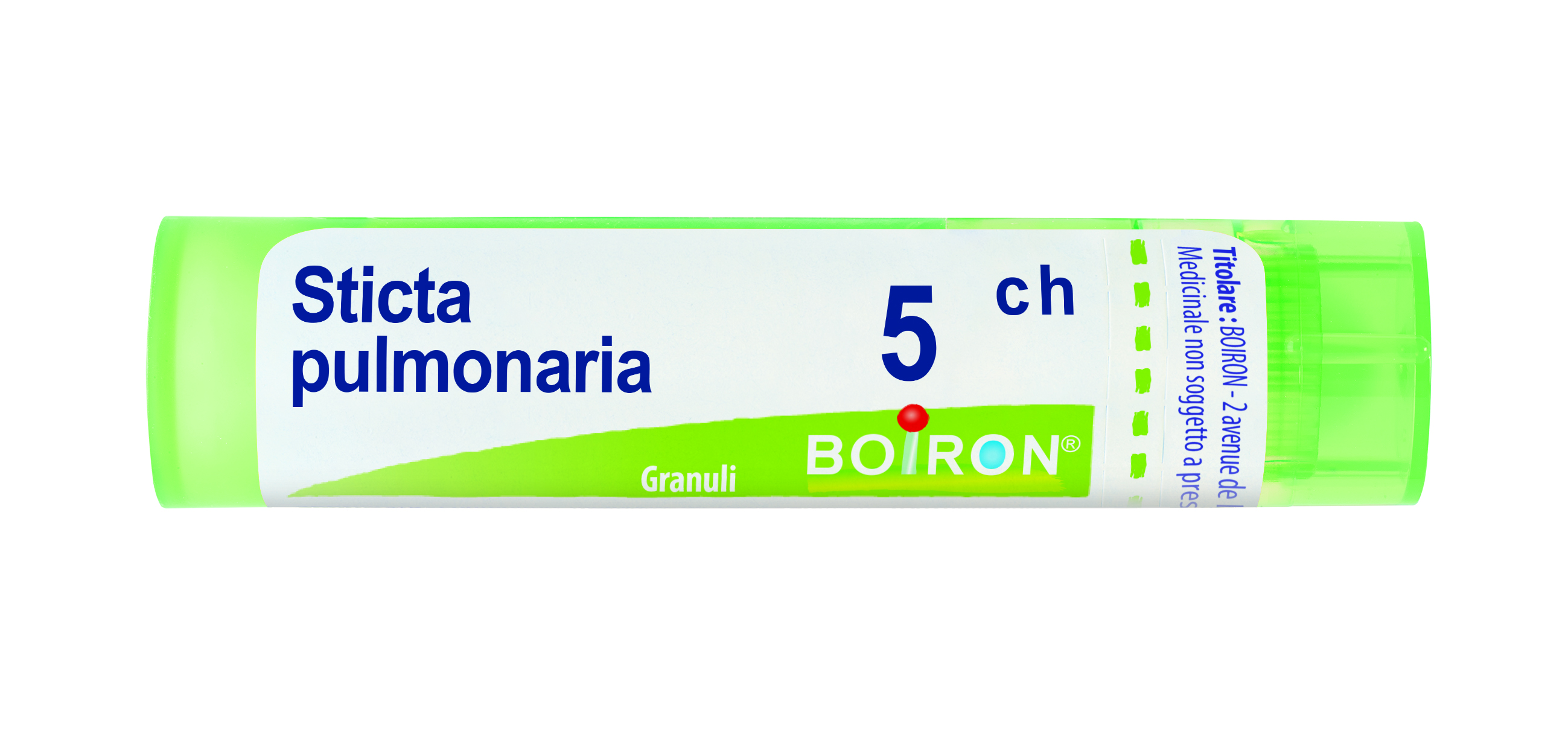 STICTA PULM BOI*5CH GR 4G - maxifarmacia.it
