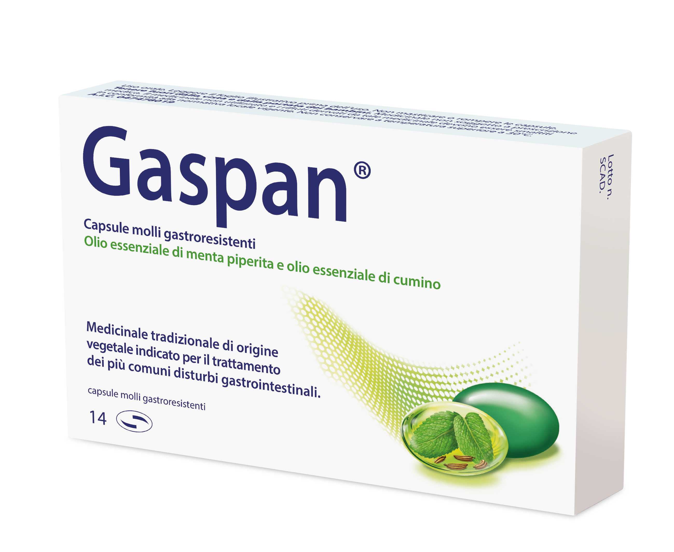 GASPAN*14CPS MOLLI GASTRORES - maxifarmacia.it