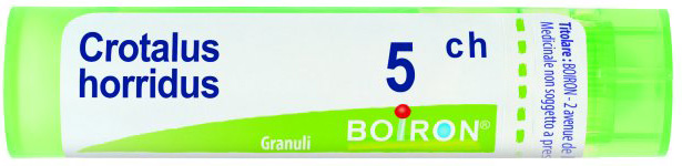 CROTALUS HORRIDUS 5CH GRANULI - maxifarmacia.it