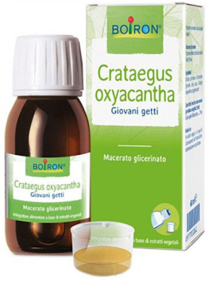 CRATAEGUS OXYACANTHA  TINTURA MADRE 60 ML - maxifarmacia.it
