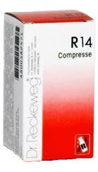 RECKEWEG R14 100 COMPRESSE - maxifarmacia.it