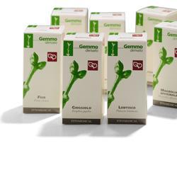 AGNOCASTO MACERATO GLICERICO 100 ML - maxifarmacia.it