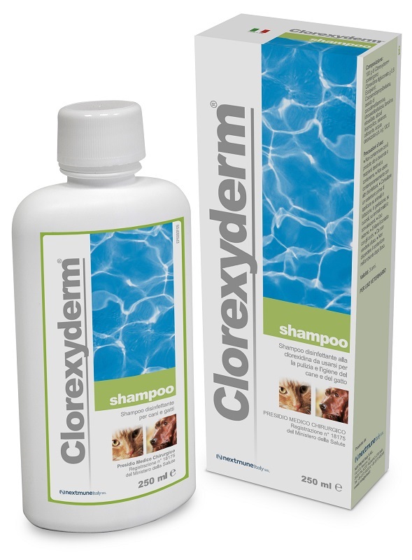 CLOREXYDERM SHAMPOO 250 ML - maxifarmacia.it