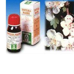 BIANCOSPINO 10 50ML TM - maxifarmacia.it