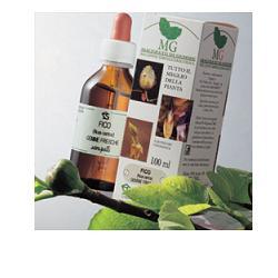 OLIVO MACERATO GLICERICO 100 ML - maxifarmacia.it