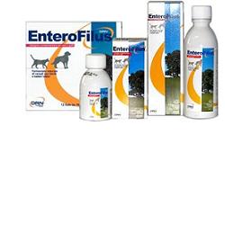 ENTEROFILUS 12 X 10 ML - maxifarmacia.it