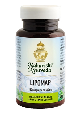 LIPOMAP 120 COMPRESSE - maxifarmacia.it