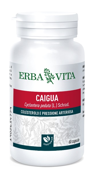 CAIGUA 60 CAPSULE 400 MG - maxifarmacia.it