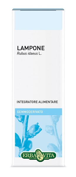 GEMMODERIVATO LAMPONE 50 ML - maxifarmacia.it