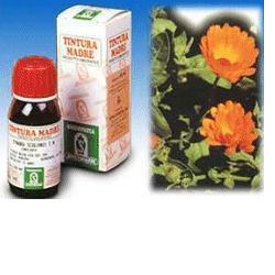 CALENDULA OFF 5 50ML TM - maxifarmacia.it