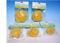 NATURA PURA SPUGNA NATURALE 12 BUSTE - maxifarmacia.it