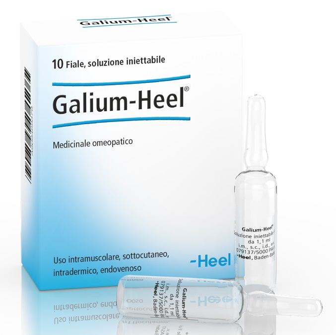 HEEL GALIUM 10 FIALE DA 1,1 ML L'UNA - maxifarmacia.it
