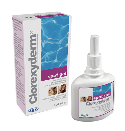 CLOREXYDERM SPOT GEL 100 ML - maxifarmacia.it