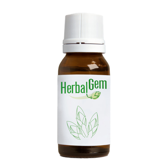 HERBALGEM VOCE BIO SCIROPPO 250 ML - maxifarmacia.it