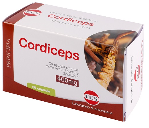 CORDICEPS ESTRATTO SECCO 60 CAPSULE - maxifarmacia.it
