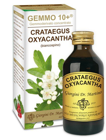 GEMMO 10+ BIANCOSPINO LIQUIDO ANALCOLICO 100 ML - maxifarmacia.it