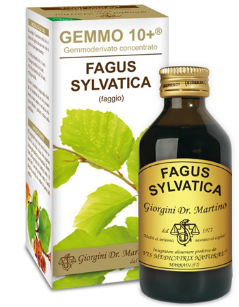 GEMMO 10+ FAGGIO 100 ML LIQUIDO ANALCOLICO - maxifarmacia.it