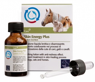 AKIN ENERGY PLUS CROTON 20 ML - maxifarmacia.it