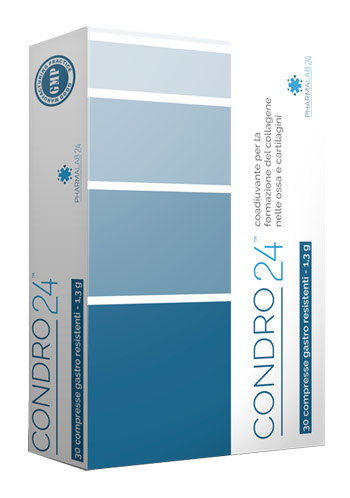 CONDRO24 30 COMPRESSE - maxifarmacia.it