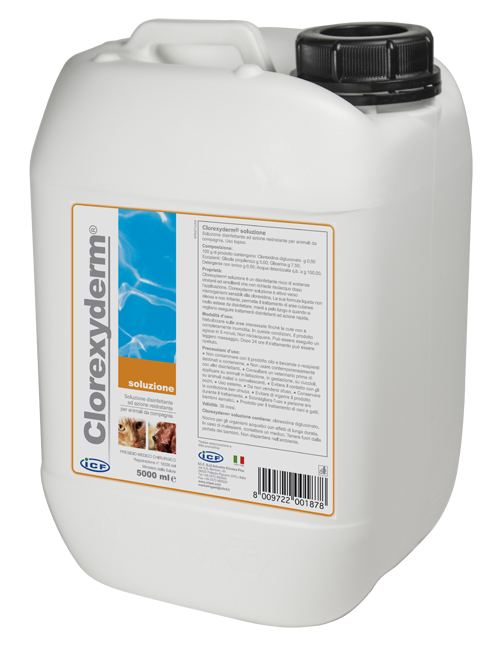 CLOREXYDERM SOLUZIONE 5 LITRI - maxifarmacia.it