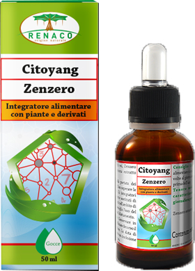 CITOYANG ZENZERO GOCCE FLACONCINO 50 ML - maxifarmacia.it