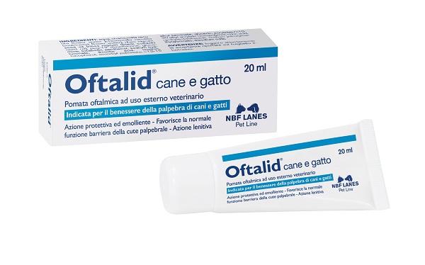 OFTALID POMATA OFTALMICA 20 ML - maxifarmacia.it