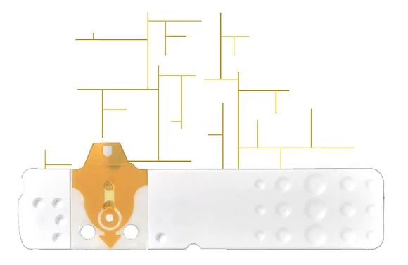 STRISCE MISURAZIONE GLICEMIA LINEA D ORO 25 PEZZI - maxifarmacia.it