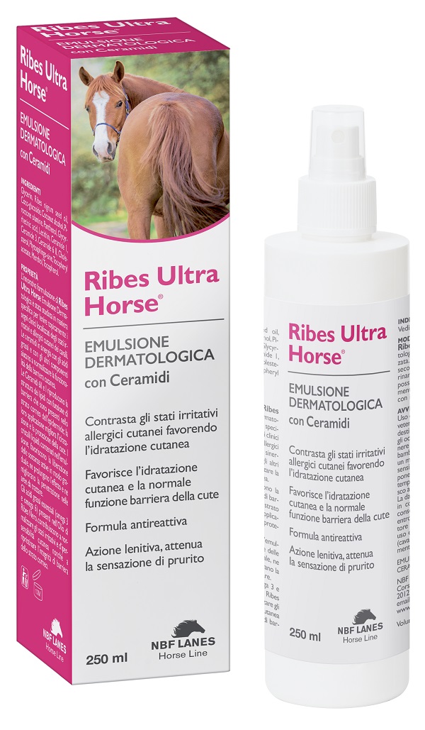 RIBES HORSE ULTRA EMULSIONE DERMATOLOGICA 250 ML - maxifarmacia.it