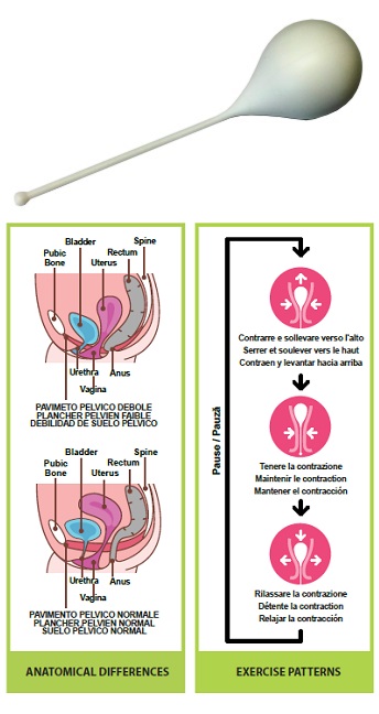 PELVIK L 1 CONO VAGINALE - maxifarmacia.it