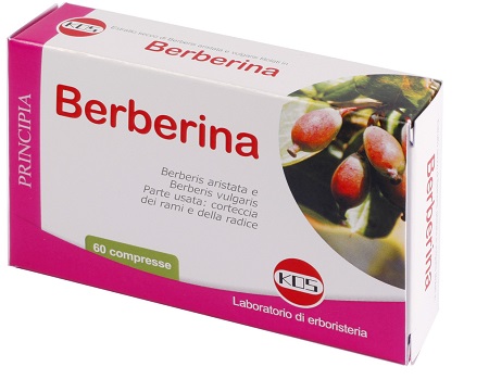 BERBERINA ESTRATTO SECCO 60 COMPRESSE - maxifarmacia.it