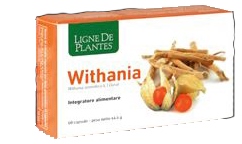 WITHANIA 60 CAPSULE - maxifarmacia.it