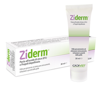 ZIDERM CREMA 30 ML - maxifarmacia.it