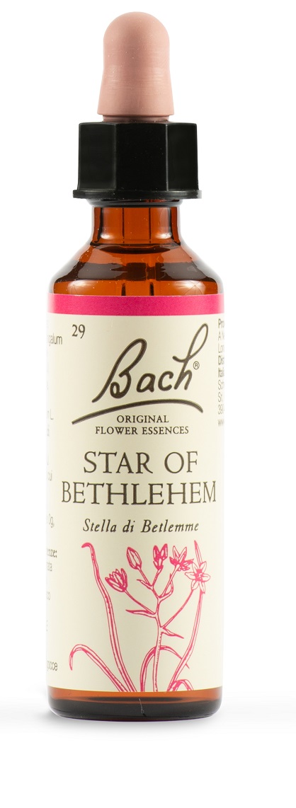 STAR OF BETHL ORIG 20 ML - maxifarmacia.it