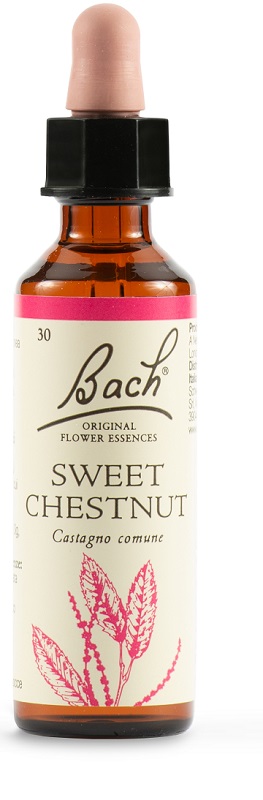 SWEET CHEST BACH ORIG 20 ML - maxifarmacia.it