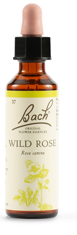 WILD ROSE BACH ORIG 20 ML - maxifarmacia.it