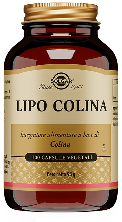 SOLGAR LIPO COLINA 100 CAPSULE VEGETALI - maxifarmacia.it