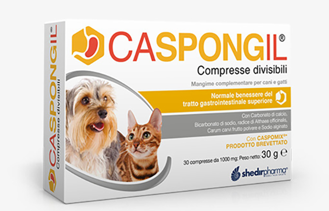 CASPONGIL 30 COMPRESSE DIVISIBILI - maxifarmacia.it