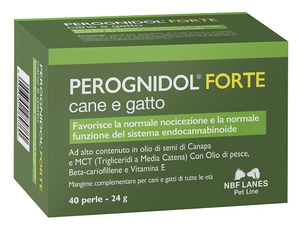 PEROGNIDOL FORTE PERLE - maxifarmacia.it