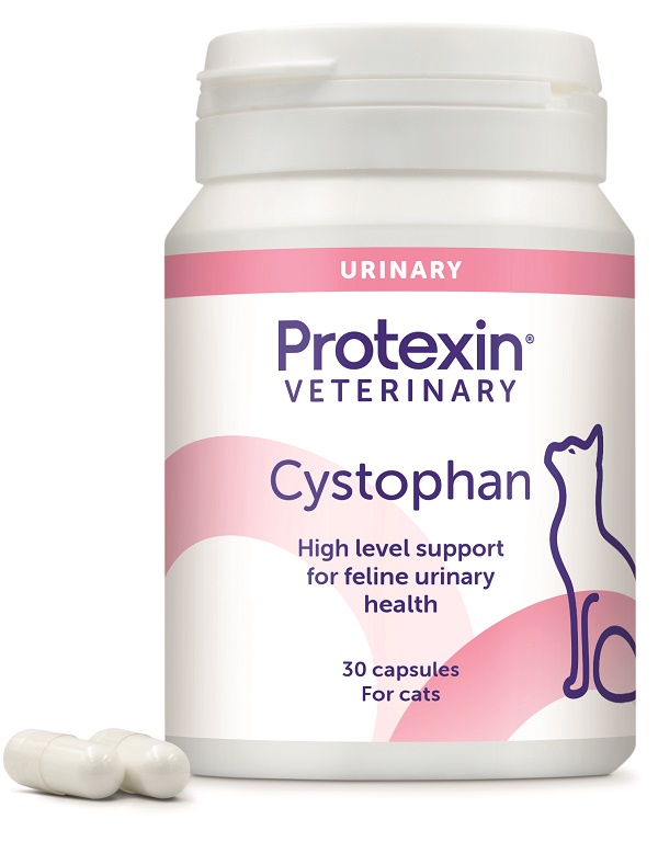CYSTOPHAN 30 CAPSULE - maxifarmacia.it