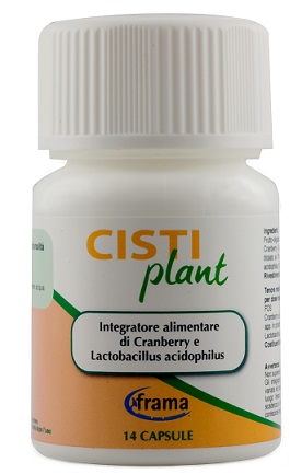 CISTIPLANT 14 CAPSULE 9 G - maxifarmacia.it