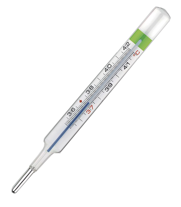 COLPHARMA THERMO GREEN PLUS TERMOMETRO - maxifarmacia.it