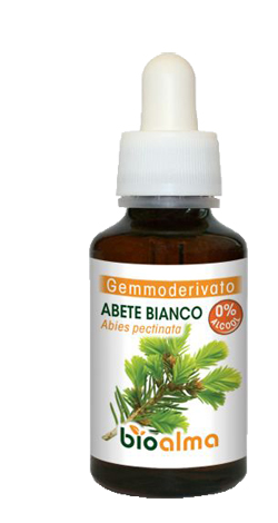 BIOALMA ABETE BIANCO GEMMODERIVATO 60ML - maxifarmacia.it