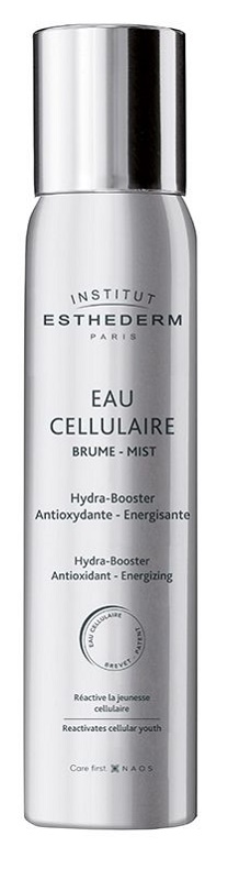 INSTI EAU CELLULAIRE BRUME 100 ML - maxifarmacia.it