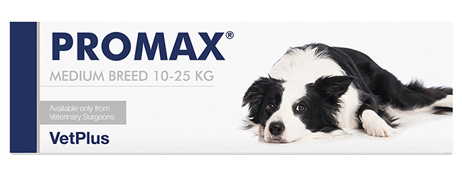 PROMAX MEDIUM BREED 18 ML - maxifarmacia.it