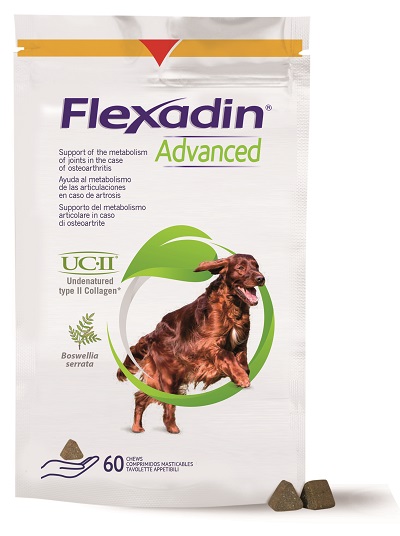 FLEXADIN ADVANCED CANE TUTTE LE TAGLIE 60 TAVOLETTE APPETIBILI - maxifarmacia.it